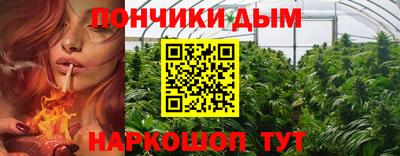 прущий лед Будённовск