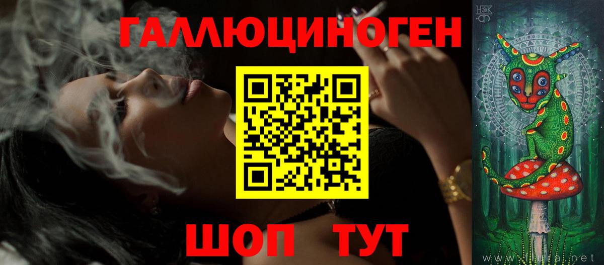 Галлюциногенные грибы Psilocybe Тобольск