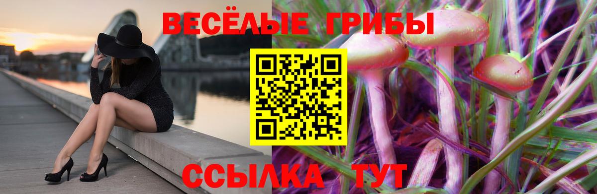 Тобольск  Псилоцибиновые грибы Magic Shrooms  Вход с VPN  Галлюциногенные грибы мицелий 